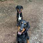 Ersteller:in Britta Profilbild