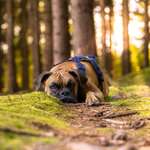 Ersteller:in Jessie Profilbild