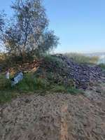 Hundeauslaufgebiet-Gröberner See-Bild