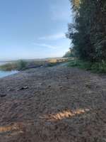 Hundeauslaufgebiet-Gröberner See-Bild