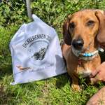 Ersteller:in Mara Profilbild