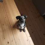 Ersteller:in Luisa Profilbild