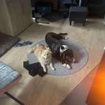 Ersteller:in Claudia Profilbild