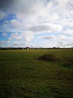 Hundeauslaufgebiet-Maulohe-Bild