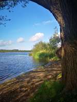 Hundeauslaufgebiet-Maulohe-Bild