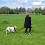 Ersteller:in Sandrin Profilbild