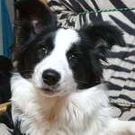 Ersteller:in Mario Profilbild