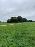 Hundeauslaufgebiet-Heuwiese Fronberg/Schwandorf-Bild