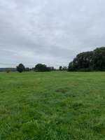 Hundeauslaufgebiet-Heuwiese Fronberg/Schwandorf-Bild