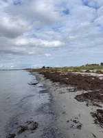 Hundeauslaufgebiet-Großenbroder Weststrand-Bild