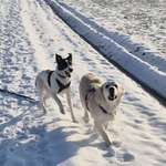 Ersteller:in Ina Profilbild