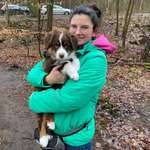 Ersteller:in Anita Profilbild