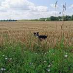 Ersteller:in Julia Profilbild