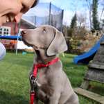 Ersteller:in Annika Profilbild