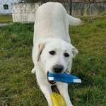 Ersteller:in Sylvia Profilbild