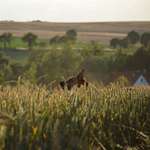 Ersteller:in Jenny Profilbild