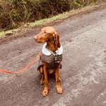 Ersteller:in Vanessa Profilbild