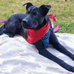 Ersteller:in Alexandra Profilbild