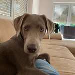 Ersteller:in Johannes Profilbild