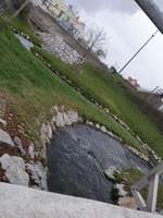 Hundeauslaufgebiet-Fischtreppe-Bild