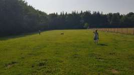 Hundeauslaufgebiet-Galgenbergsweg-Bild