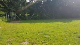 Hundeauslaufgebiet-Galgenbergsweg-Bild