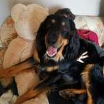 Ersteller:in Kimba Profilbild