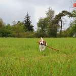 Ersteller:in Anja Profilbild