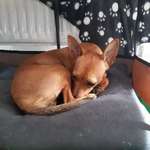 Ersteller:in Birgit Profilbild