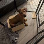 Ersteller:in Nadin Profilbild