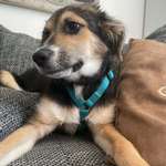 Ersteller:in Sarah Profilbild