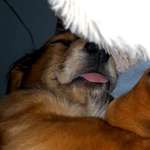 Ersteller:in Alicia Profilbild