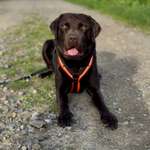 Ersteller:in Alexandra Profilbild