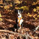 Ersteller:in Natascha Profilbild