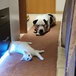 Ersteller:in Sanny Profilbild