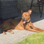 Ersteller:in Jasmin Profilbild