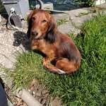 Ersteller:in Daniela Profilbild