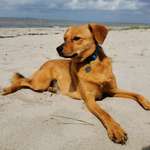 Ersteller:in Britta Profilbild