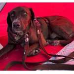 Suchmeldung-Nura-Bild