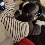 Ersteller:in Salina Profilbild