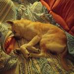 Ersteller:in Udo Profilbild