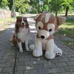 Ersteller:in Ke Profilbild