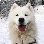 Ersteller:in Sarah Profilbild