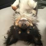 Ersteller:in lena Profilbild