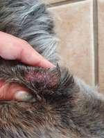 Ellenbogen beidseitig entzündet-Beitrag-Bild