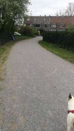 Hundeauslaufgebiet-Moers-Asberg hinter dem Sportplatz-Bild