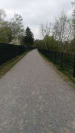 Hundeauslaufgebiet-Moers-Asberg hinter dem Sportplatz-Bild