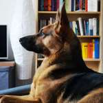 Ersteller:in André Profilbild