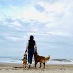 Ersteller:in Karina Profilbild