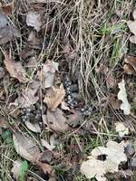 Was könnte das sein?-Beitrag-Bild